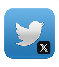 Twitter (X) services