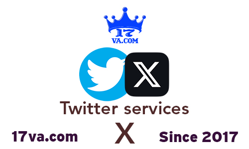Twitter x followers